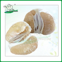 China fresh pomelo from Brother Kingdom